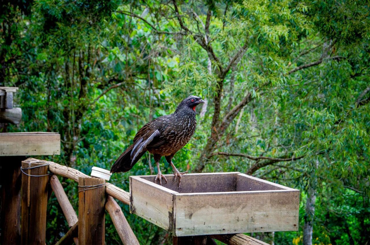 Pousada Rancho Das Framboesas Visconde De Maua Luaran gambar